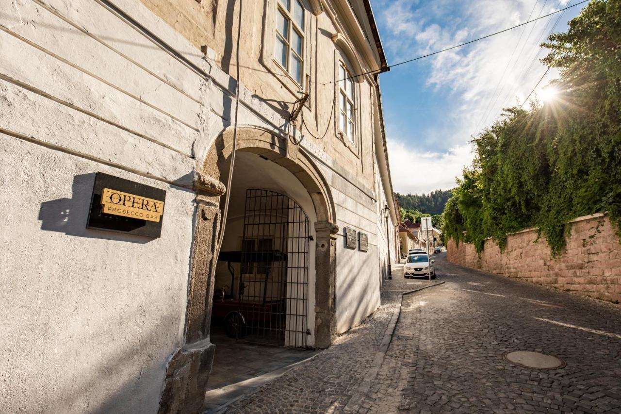 Apartman Blue Moon Banská Štiavnica Eksteriør billede